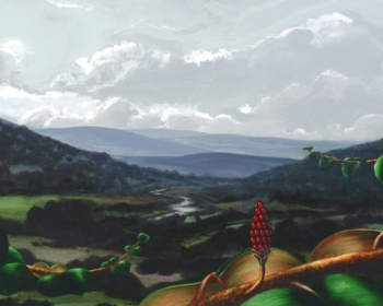 2001-08-Accesit en el XXXI Concurso Internacional de Pintura Rafael Zabaleta Quesada (Jaén)