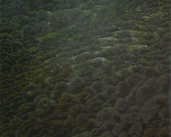 2003-05- Segundo Premio en el IX Premi Nacional de Pintura Ciutat D’Algemesí (Valencia).