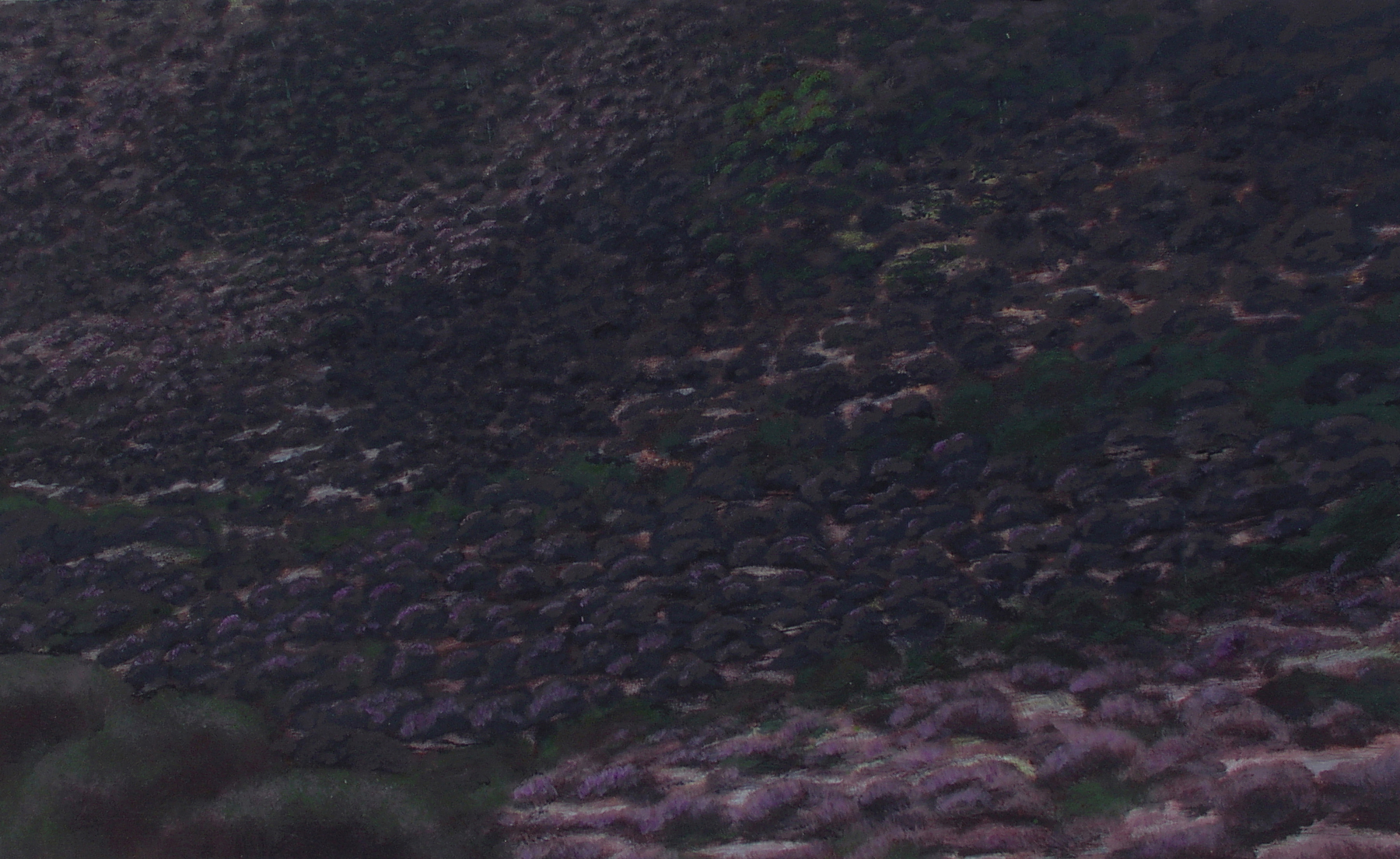 “PINTURAS” en el Palau de Vivel, La Vall D'Uixo (Castellón).