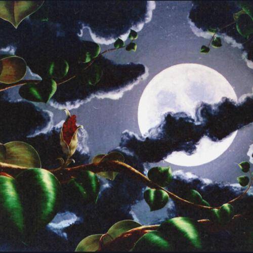  1998-08-Adquisición de obra en el XXVI Concurso de Pintura Ciudad de Martos (Jaén).