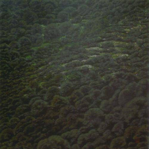 2003-05- Segundo Premio en el IX Premi Nacional de Pintura Ciutat D’Algemesí (Valencia).