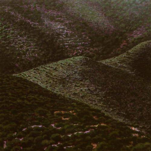  2004-09- Primer Premio en el XIX Concurs de Pintura Vila de Puçol, (Valencia).