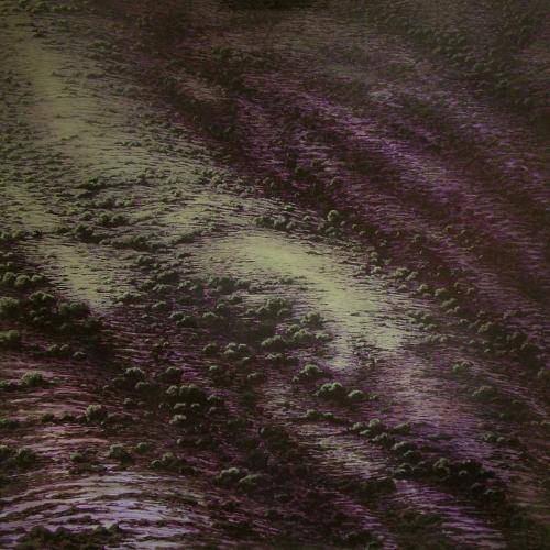  2006-01- Mención Honorífica en el XXX Premio Nacional de Pintura Enrique Ginestal, Talavera de la Reina (Toledo).