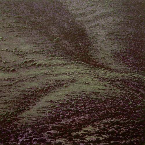  2007-05- Primer Premio en VIII Certamen Andaluz de Pintura Contemporánea “Ciudad de, Torremolinos (Málaga)