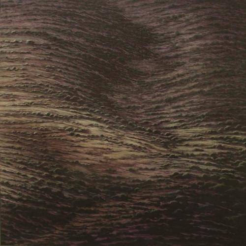  2007-10- Medalla de pintura “Eduardo Chicharro” del 74 Salón de Otoño de la Asociación Española de Pintores y Escultores, Madrid.