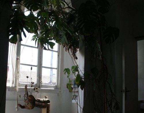 Espacio expositivo RUSSAFART 2012, Taller calle Cádiz 27, Valencia.