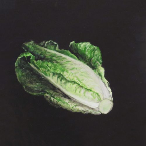 OP-012-Lechuga 30X30