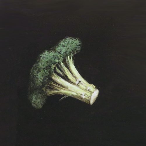 OP-015-Brócoli 30x30