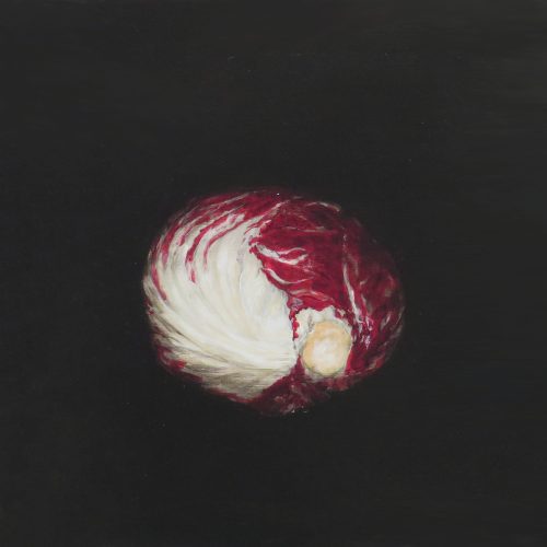 OP-016-Achicoria 30X30