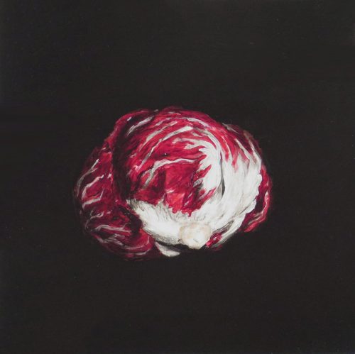 OP-020-Achicoria 21x21