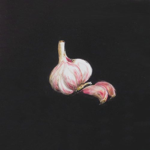 OP-025-Cabeza de ajos con dos dientes 20x20