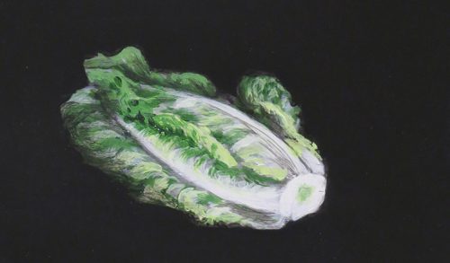 OP-026-Lechuga 11.15x19