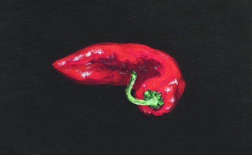OP-027-Pimiento largo 11'7X19