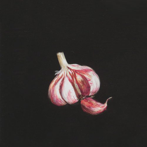 OP-032-Cabeza de ajos con un diente