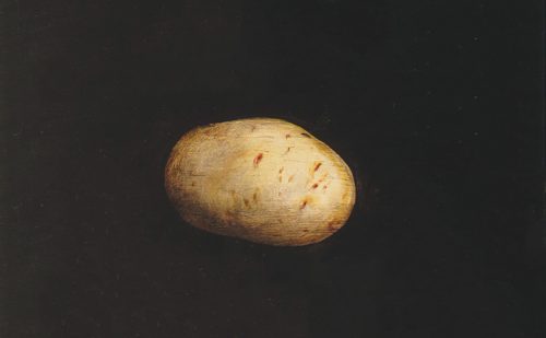 OP-034-Patata (III) 11'7X19-c