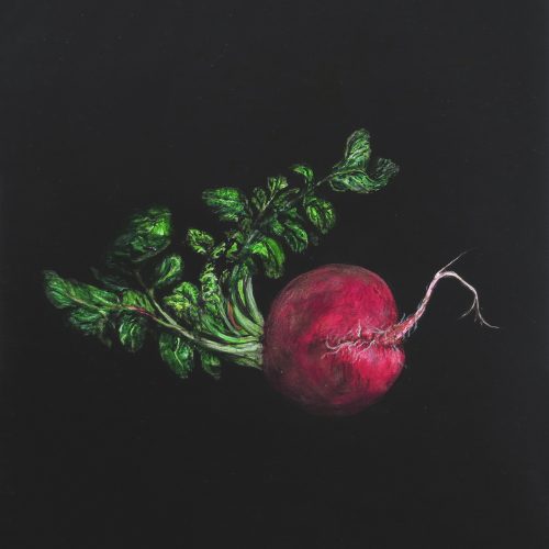 OP-038-Rábano 30x30-(I)-o