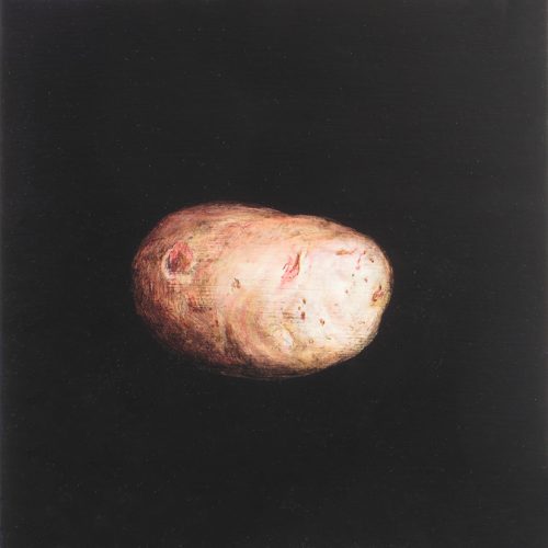 OP-040-Patata (VI) 21x21