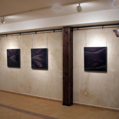 Sala de exposiciones Agustín Úbeda,1ª Planta.  