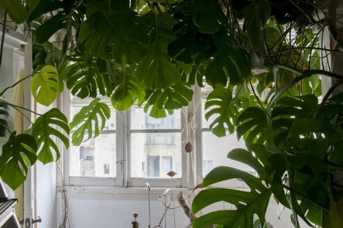 “RUSSAFART 2014”, Taller calle Cádiz 27, Valencia.