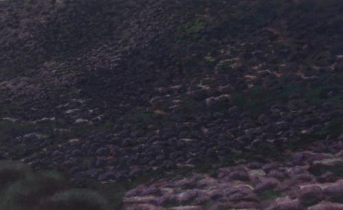 UMBRÍA II (El Silencio), Acrílico - tabla 54 x 87 cm.