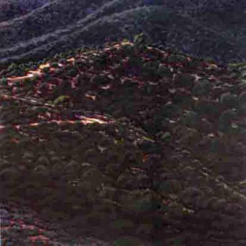  2004-08- Primer premio en el XXVI Concurso de Pintura Ciudad de Martos (Jaén).