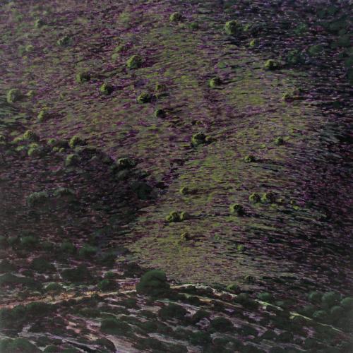 MONTAÑAS DEL SUR I (El silencio), Acrílico - tabla 70 x 70 cm.s.