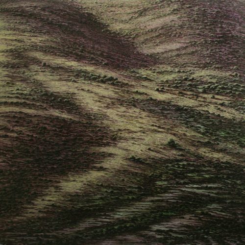 “LA DISTANCIA Y EL ENCUADRE”, Galería del Palau, Valencia.