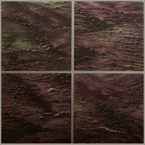 LA DISTANCIA Y EL ENCUADRE”, Galería del Palau, Valencia.