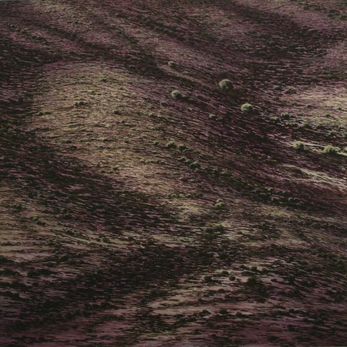 “LA DISTANCIA Y EL ENCUADRE”, Galería del Palau, Valencia.